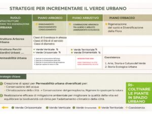 La modellazione del sistema verde urbano, criteri tecnici per la progettazione delle infrastrutture verdi (cod. AF3-466375)