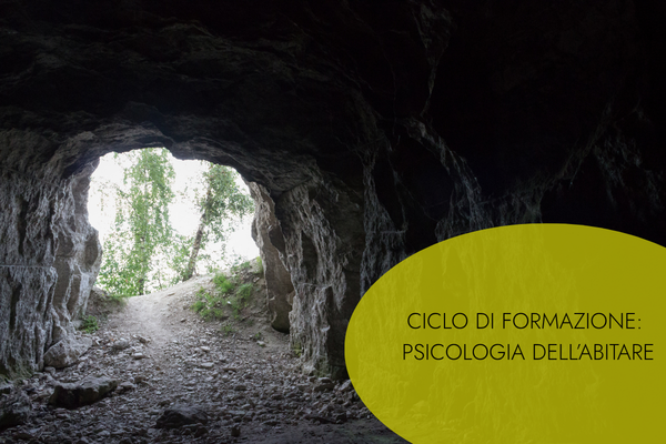 Viaggio nel senso dell'interior design: l’interno prima dell’architettura (cod. AF2-480363)